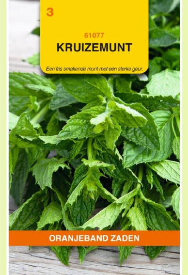 Grne Minze (Mentha spicata) 1100 Samen OBZ